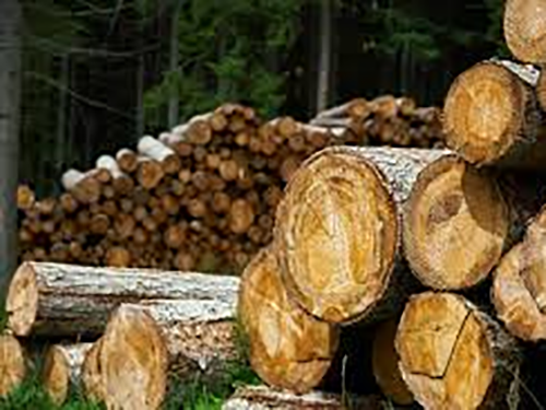 What are key aspects of wood products inspection?