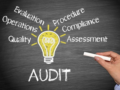 What are the purposes of a Supplier Audit?