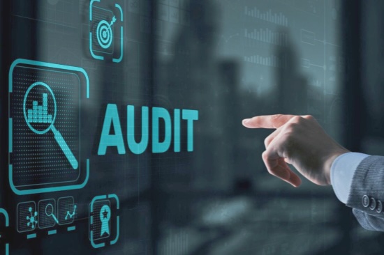 SUPPLIER QUALIFICATION AUDIT1