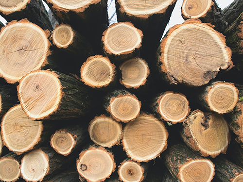 Why Is Certificated Wood Products Important?