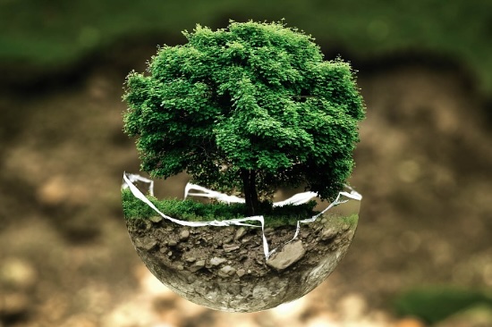 ENVIRONMENTAL AUDIT2